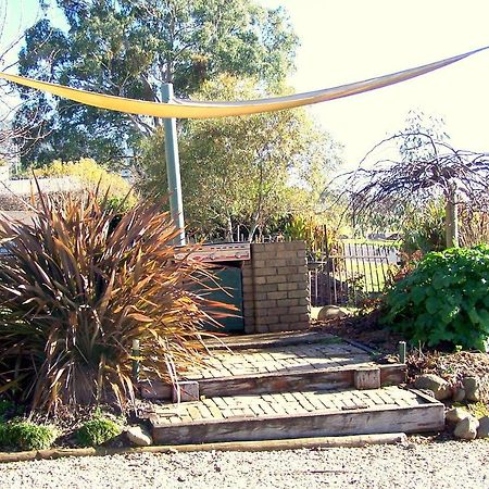 Bogong Moth Motel Mount Beauty Ngoại thất bức ảnh