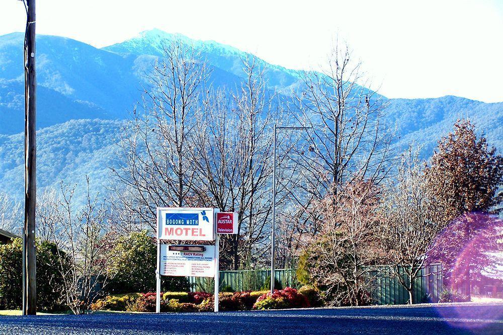 Bogong Moth Motel Mount Beauty Ngoại thất bức ảnh