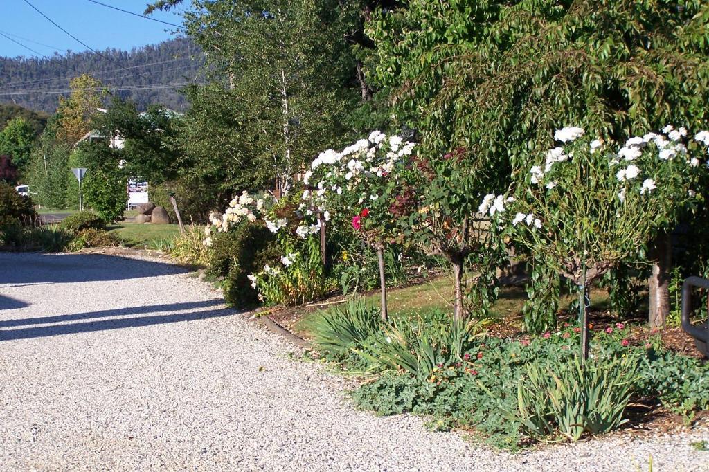 Bogong Moth Motel Mount Beauty Ngoại thất bức ảnh