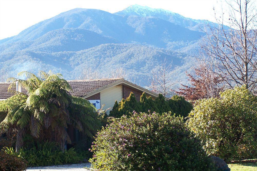 Bogong Moth Motel Mount Beauty Ngoại thất bức ảnh